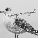 hunting a seagull