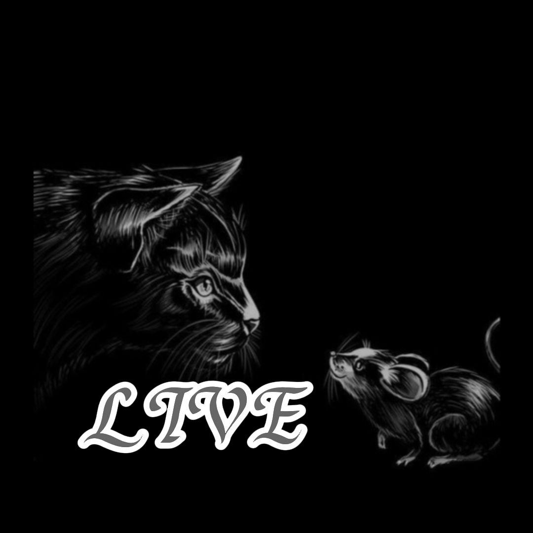 LiveRemix