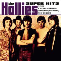 The Hollies - Long Cool Woman (unofficial Instrumental)