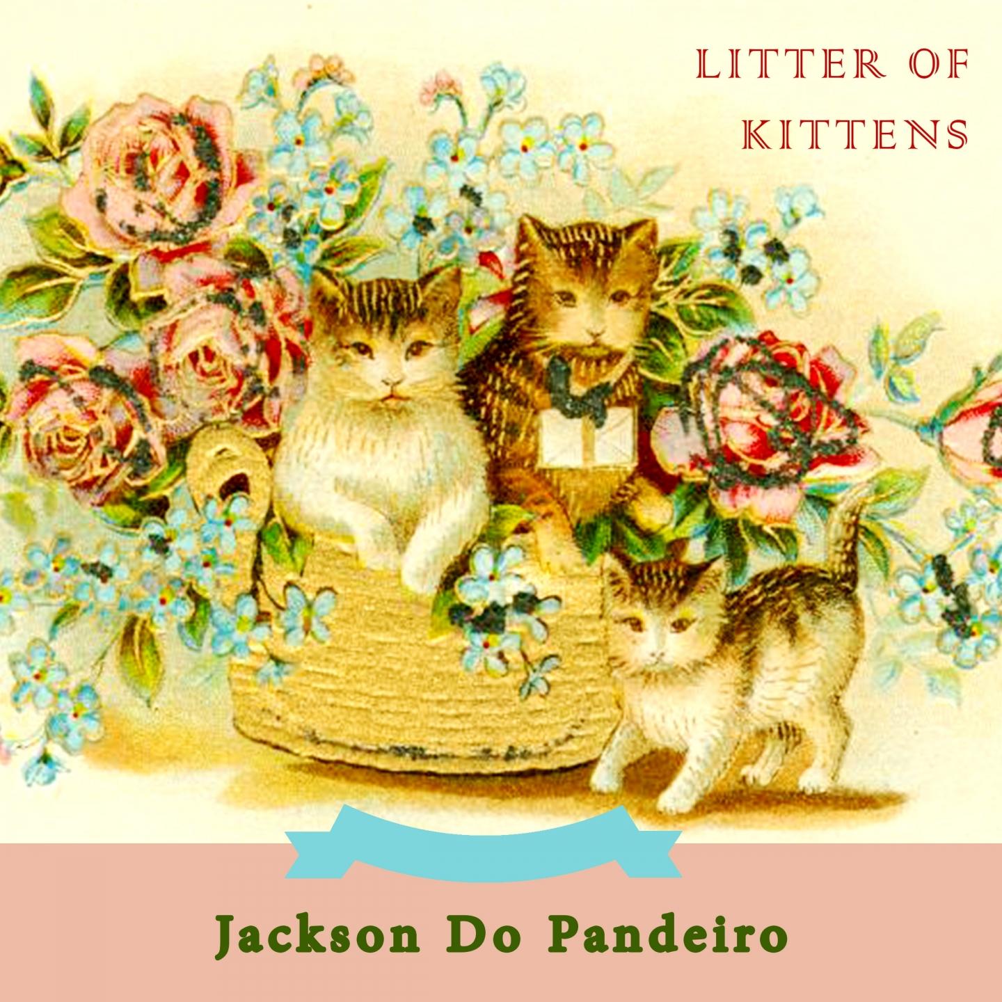 Litter Of Kittens