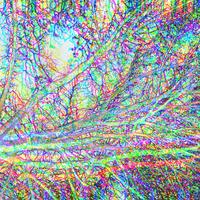 Crazy Kidd - ZuyPhamm