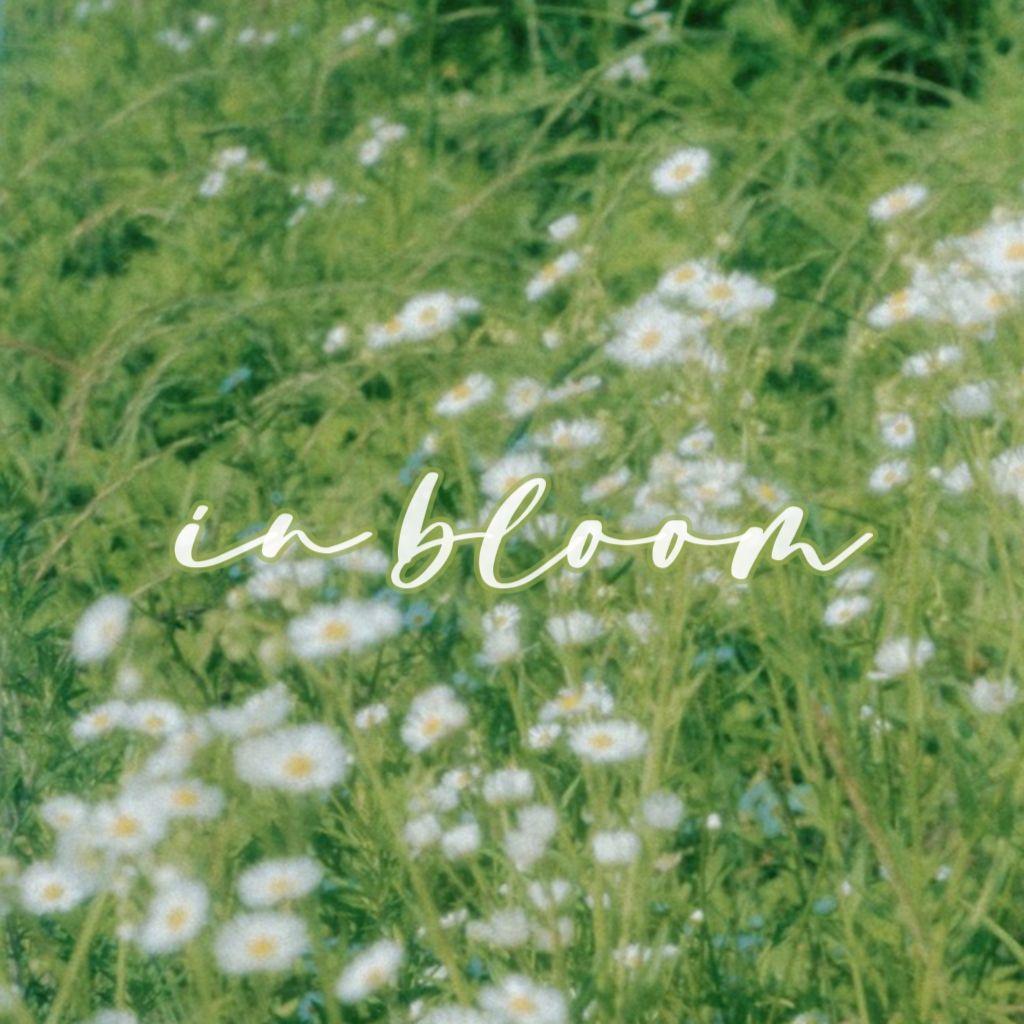 In Bloom