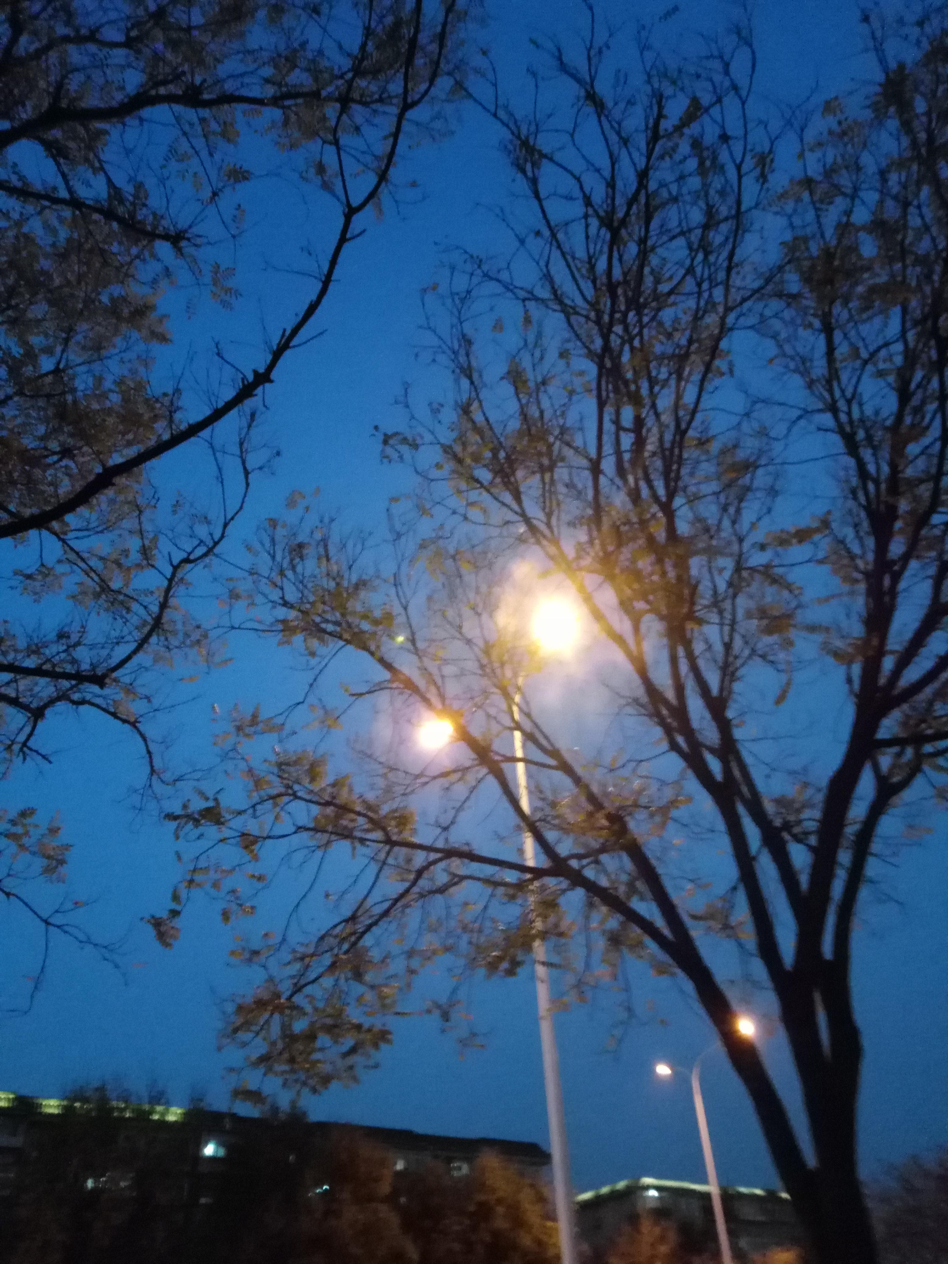 Tomorrow will be better专辑