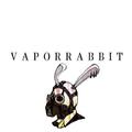 VaporRabbit（蒸汽兔子）