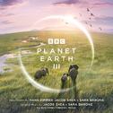 Planet Earth III (Original Television Soundtrack)专辑