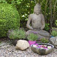 清晨心语馆 - 青花瓷