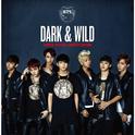 Dark & Wild Taiwan Special Limited Edition专辑