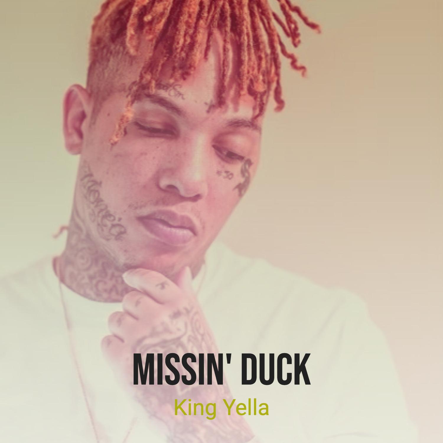 Missin' duck