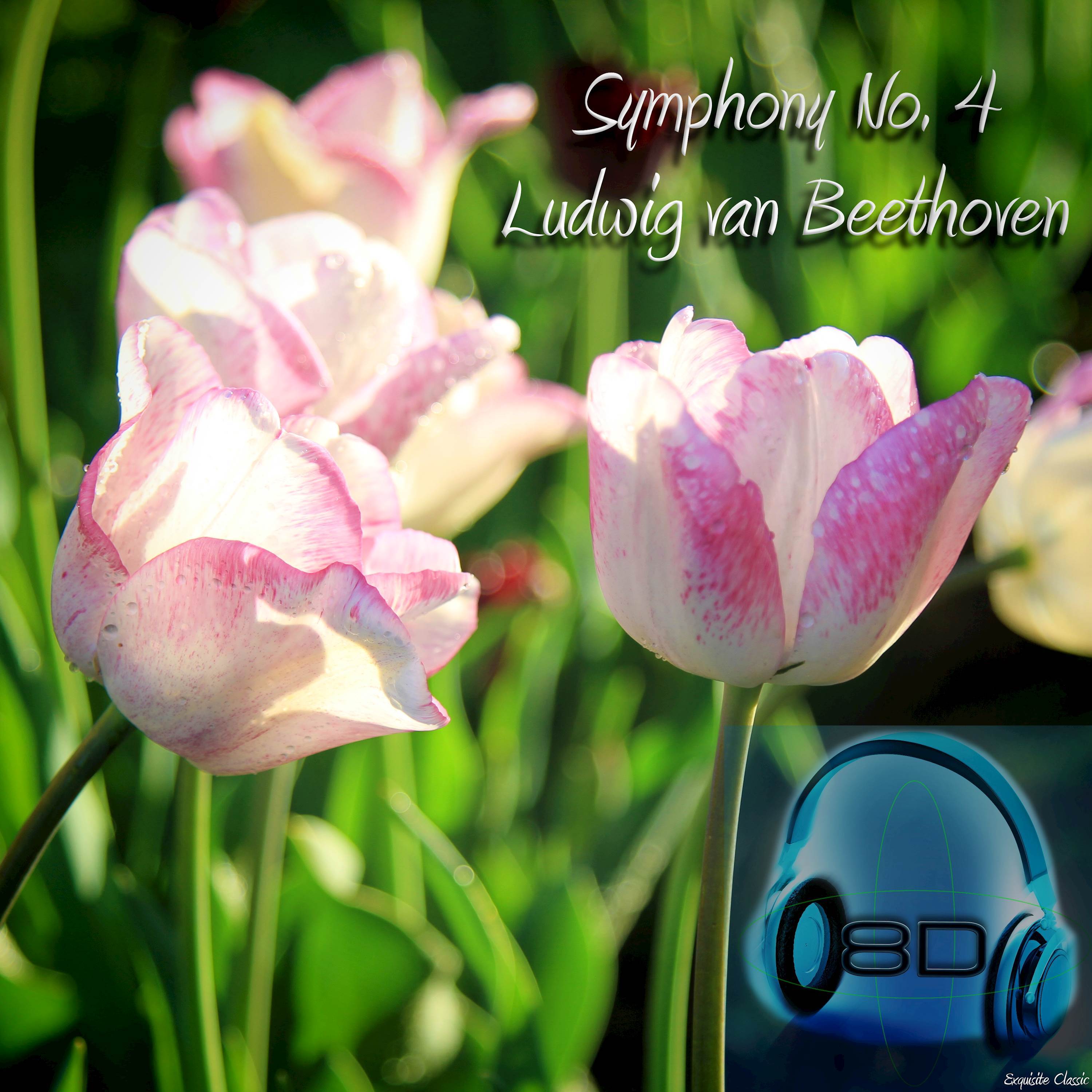 Symphony No. 4 in B flat major, Op. 60 - Ludwig van Beethoven (8D Binaural Remastered - Music Therapy)