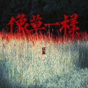 像草一样