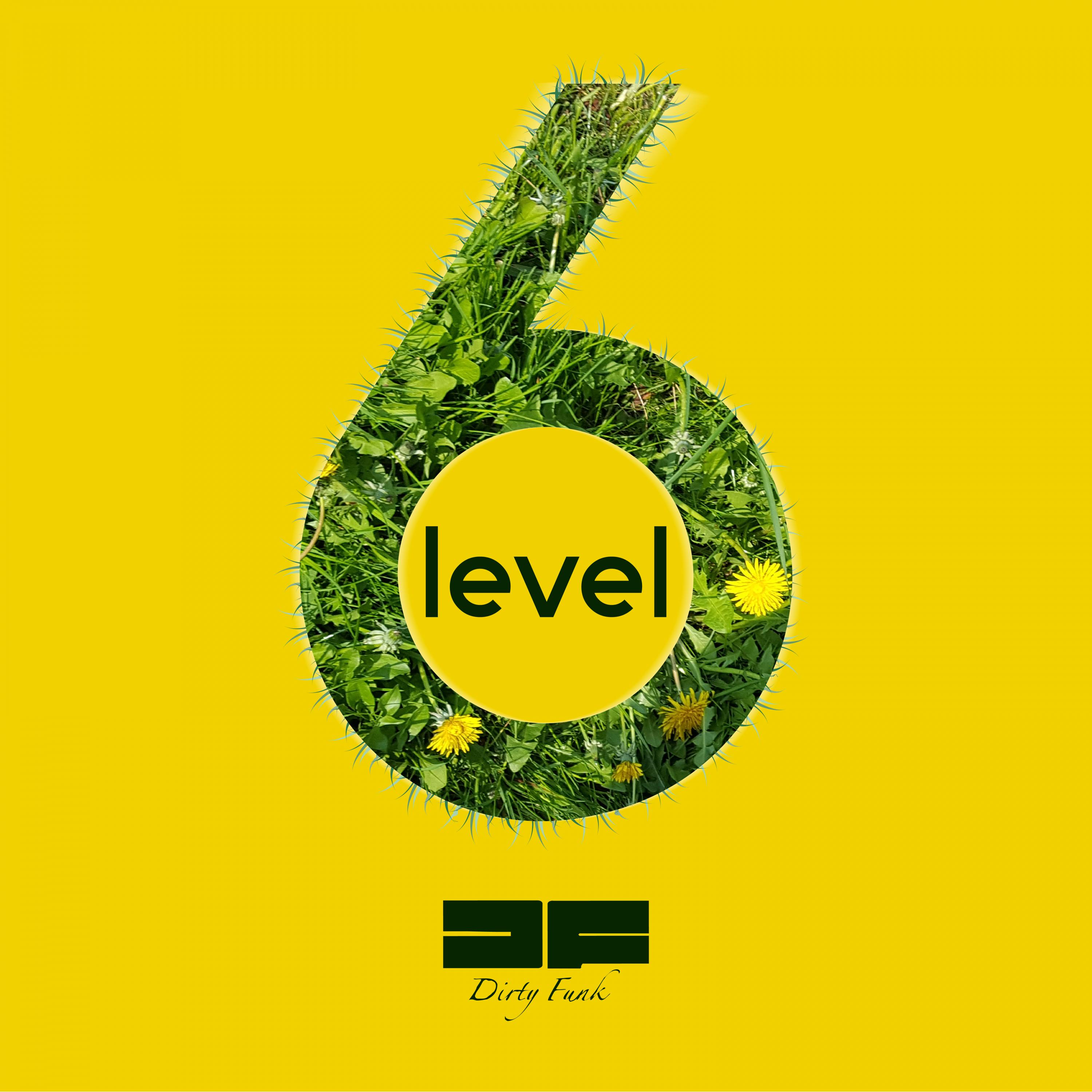 6 Level