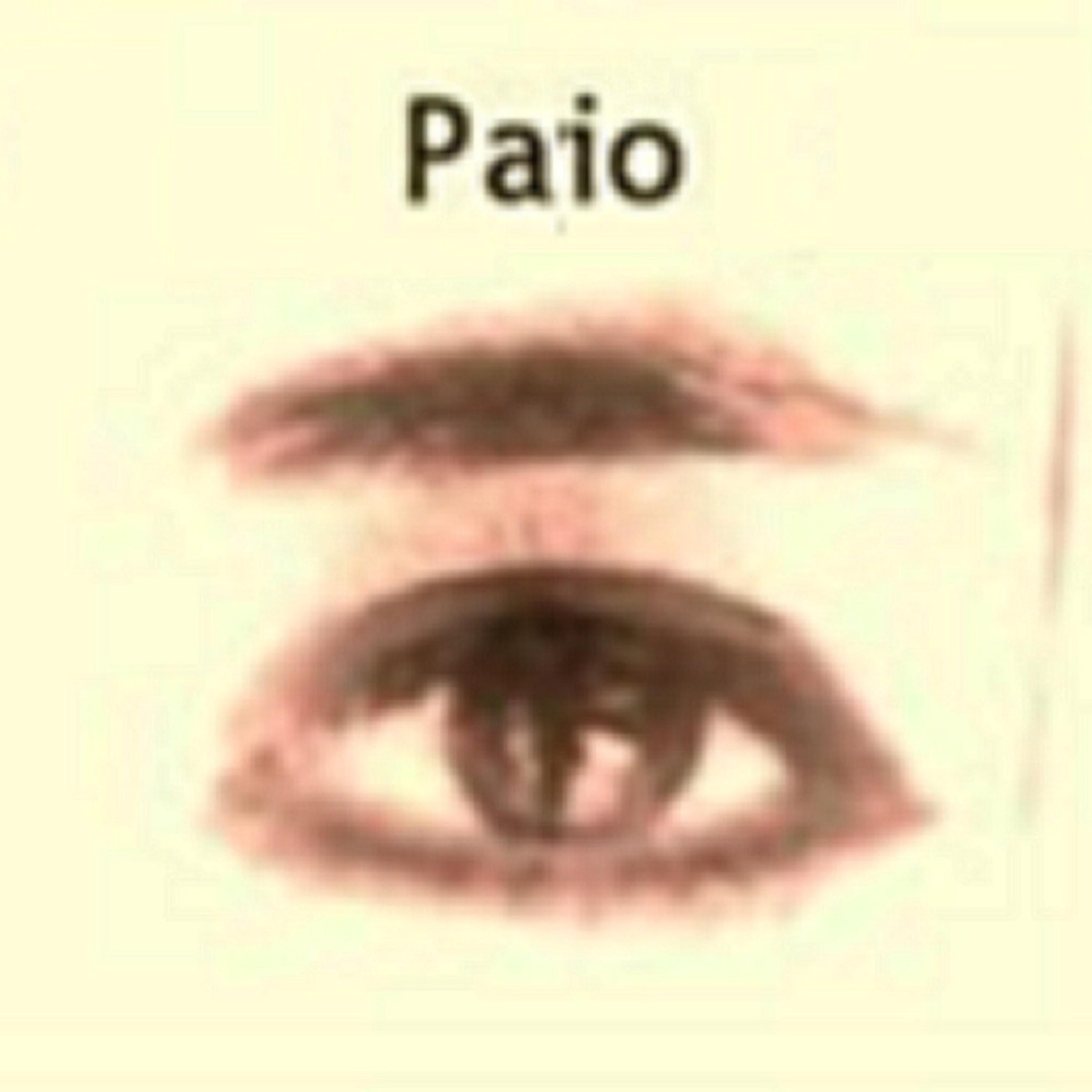 Somni Privat