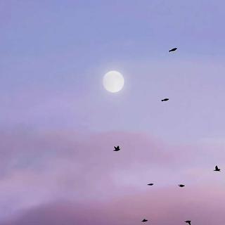 轻音乐｜闲来看云舒