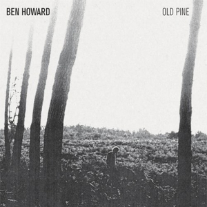 Old Pine - Ben Howard (karaoke) 带和声伴奏 （升5半音）