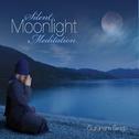 Silent Moonlight Meditation专辑