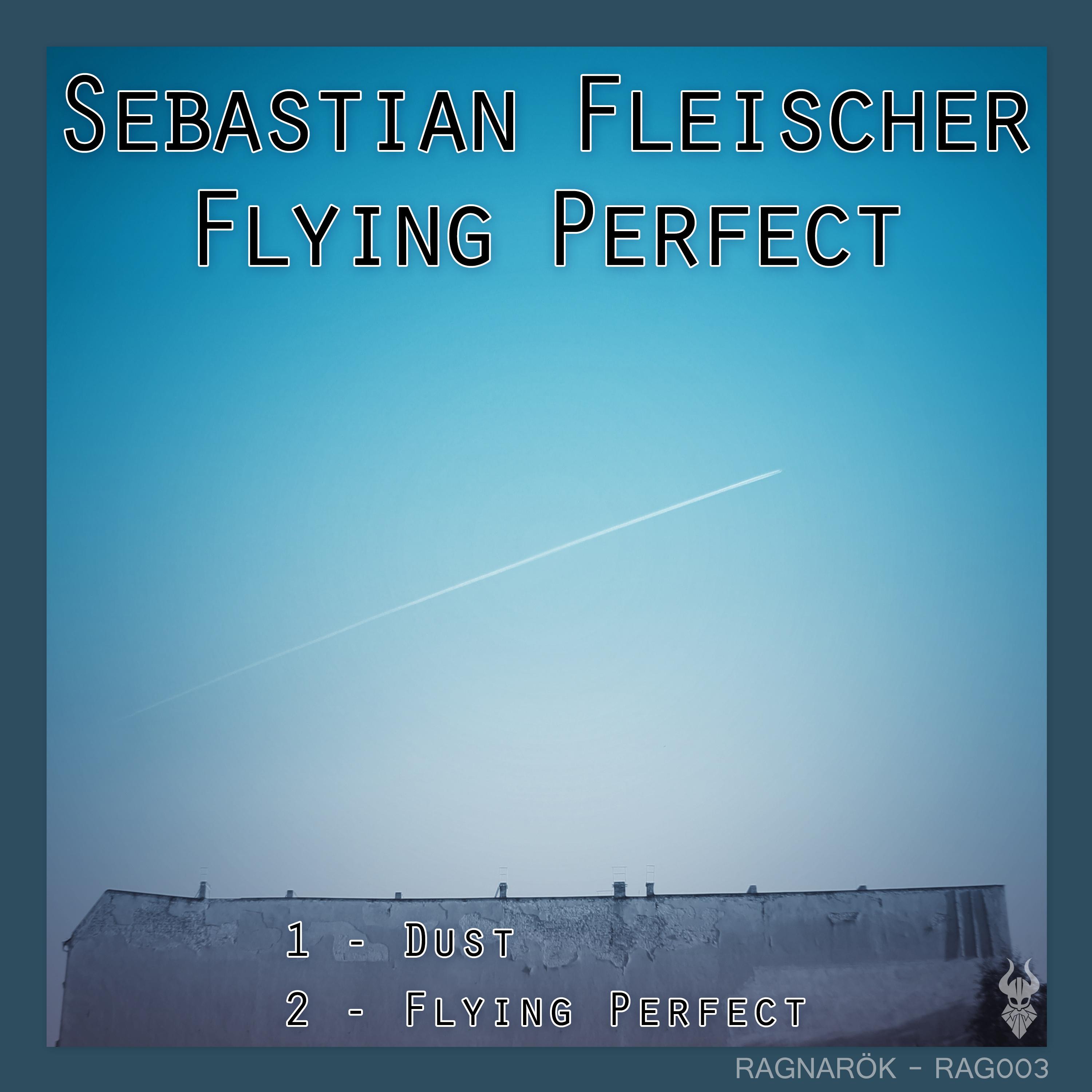 Flying Perfect