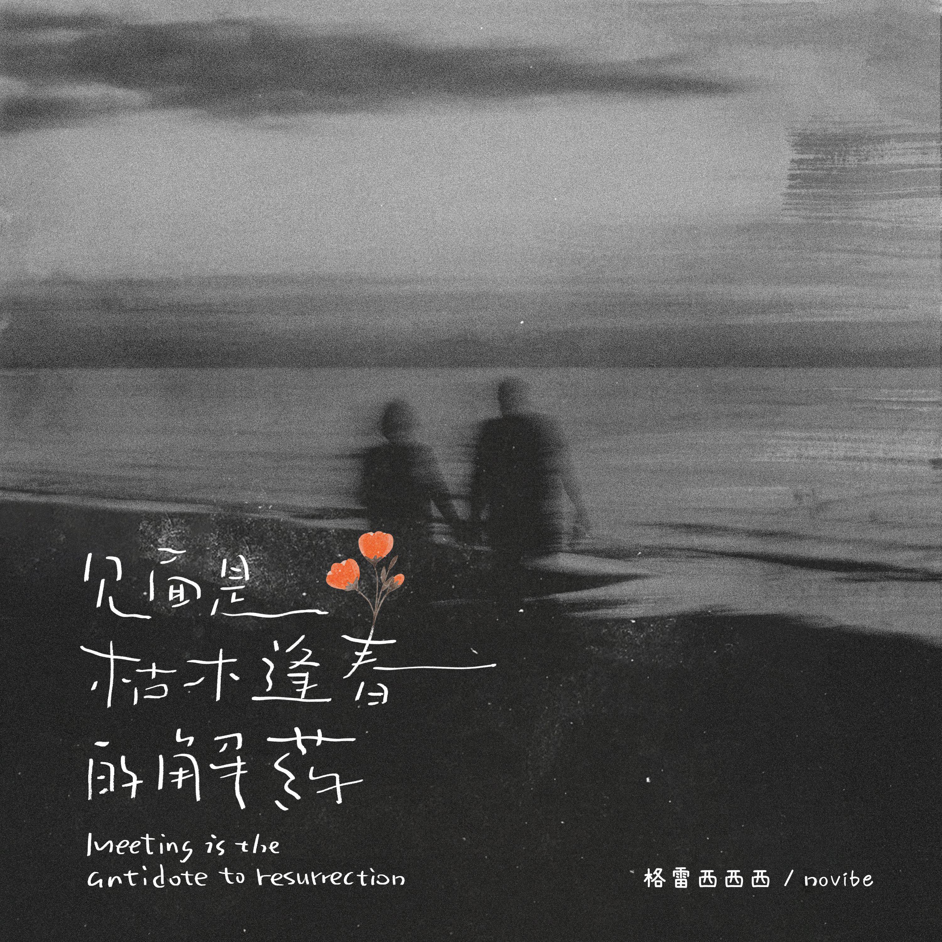 见面是枯木逢春的解药专辑