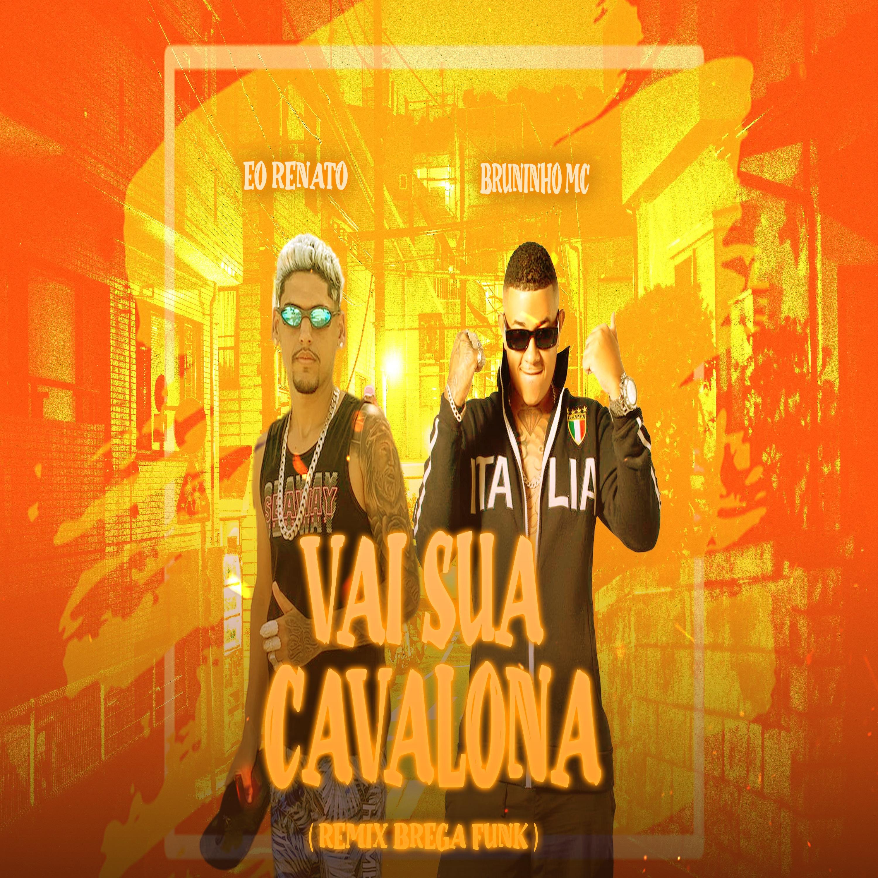 Bruninho Mc - Vai Sua Cavalona (Remix)