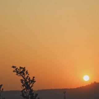 「孤独纯音」一人两地三餐四季*^_^*