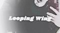 Looping Wing专辑