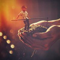 Roots Grown Deep - Rise