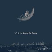 I`ll See You In My Dreams