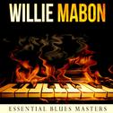 Essential Blues Masters专辑