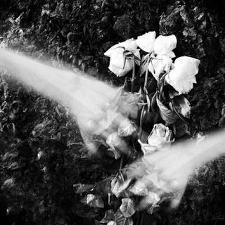 后摇|舒缓无人声 自愈良药