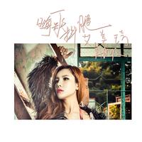 有只雀仔掉落水 伴奏(DJ庭锋 2018 Extended Mix)