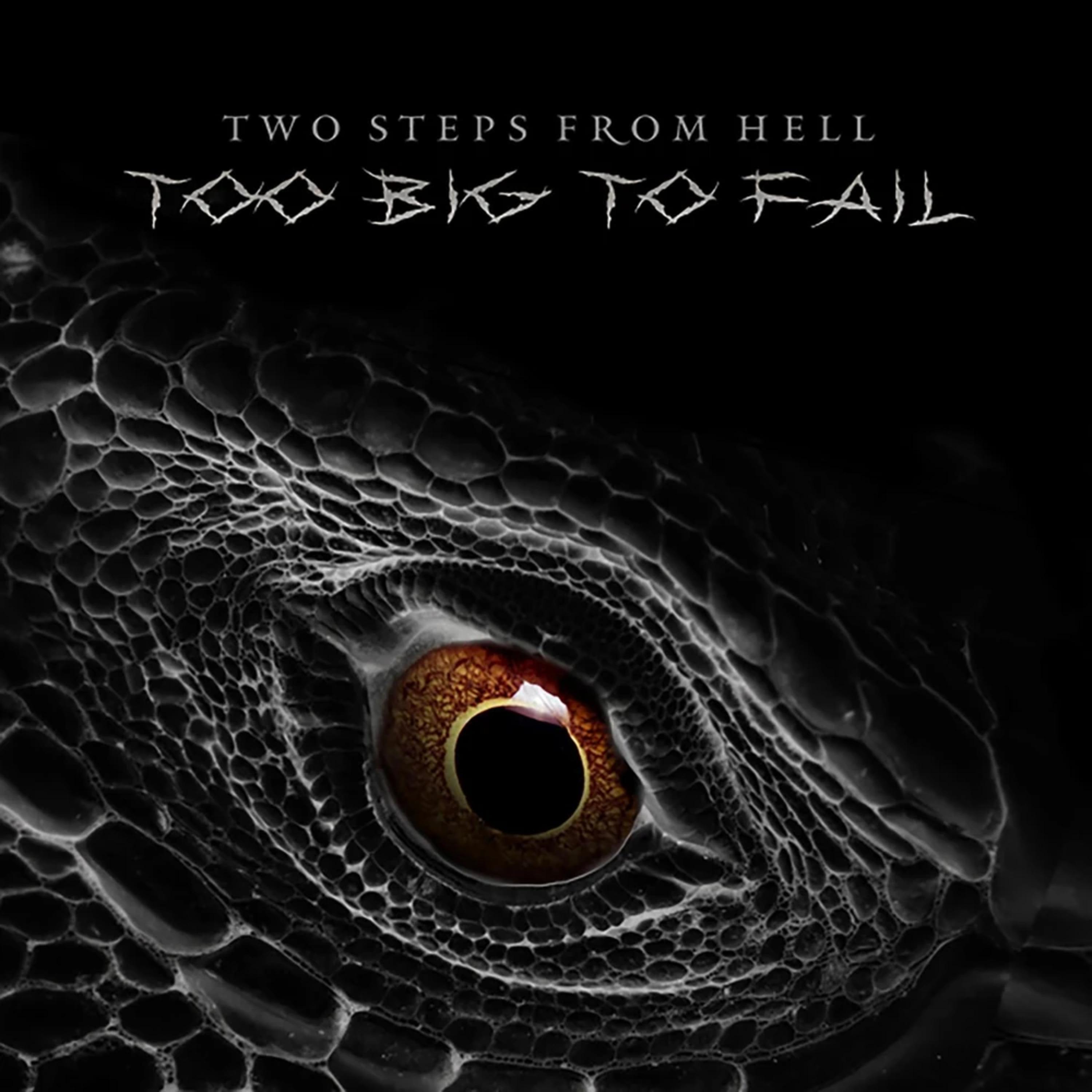 Too Big to Fail