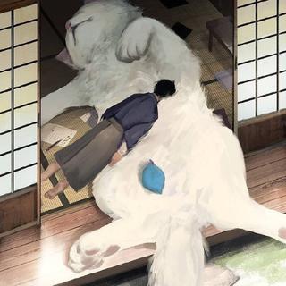 就养一只猫吧，你喜欢猫，我喜欢你