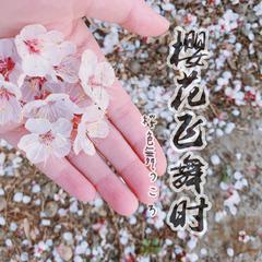 《樱花飞舞时》桜色舞うころ(翻自 中岛美嘉)