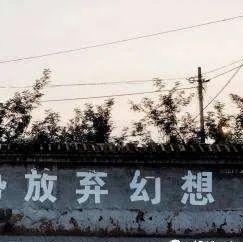 INFJ 作家型