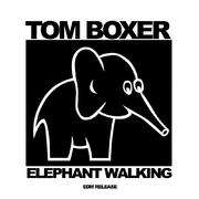 Elephant Walking