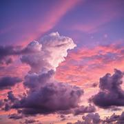 Glimpse of Light