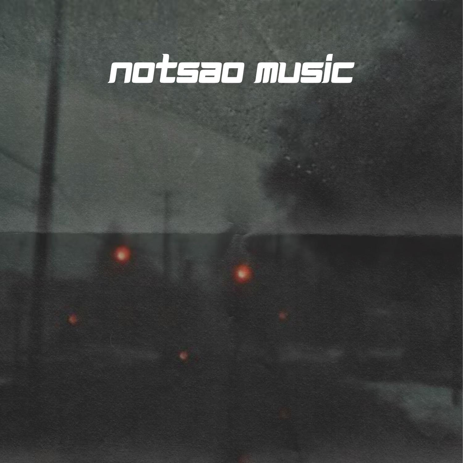 snowman (slowed+reverb)