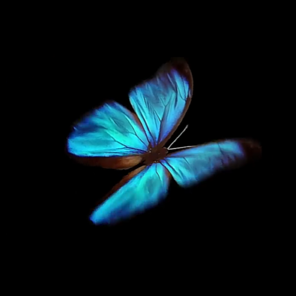 妳一定要聽我給妳寫的歌