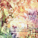 Prunus Subhirtella专辑