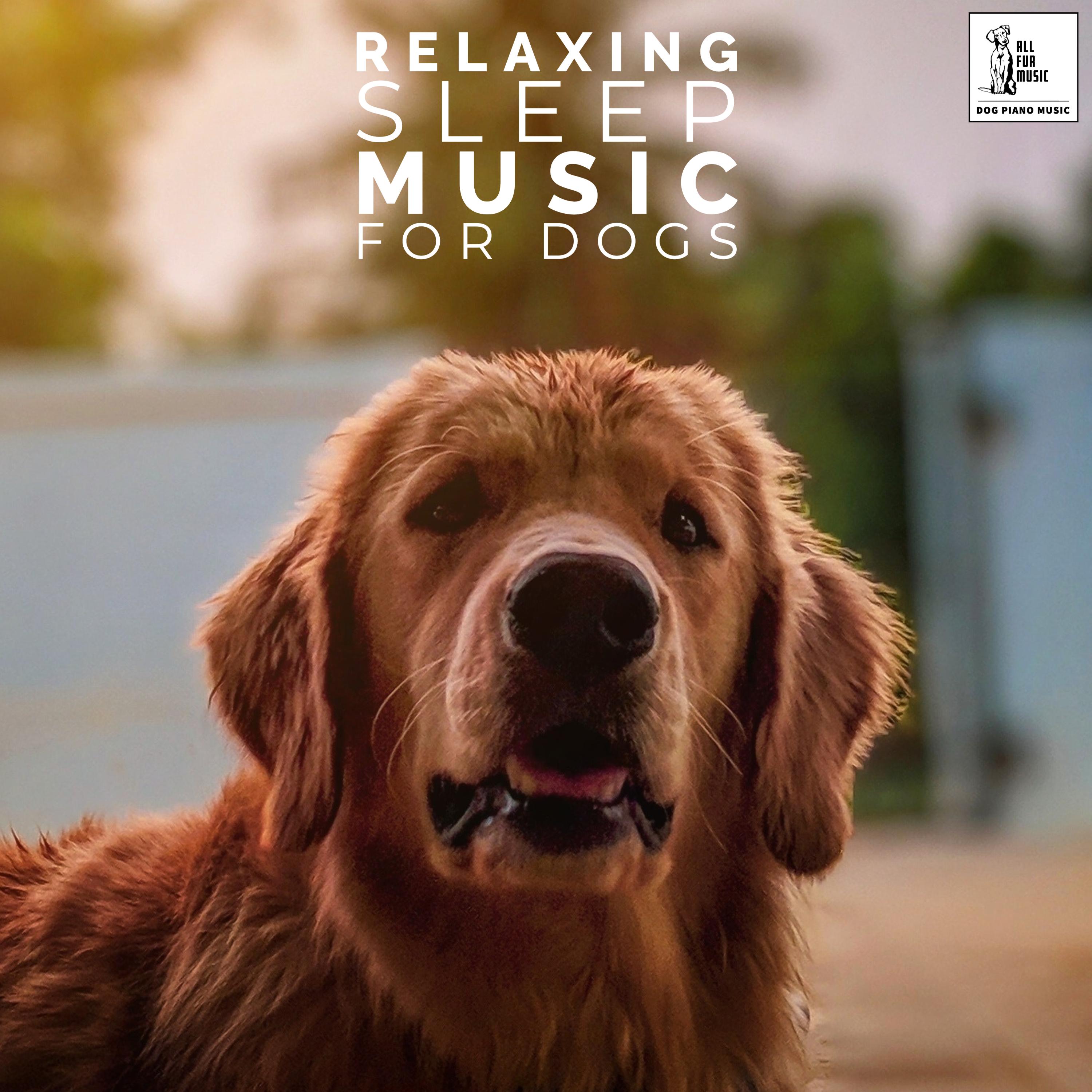 Relaxing Sleep Music For Dogs