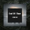 丿落英飞花 - Alan Walker-End of Time（丿落英飞花 remix）