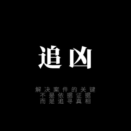 白夜破晓·追凶