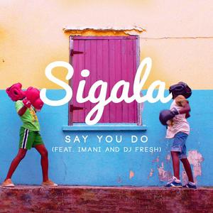 Sigala Imani DJ Fresh - Say You Do （降2半音）