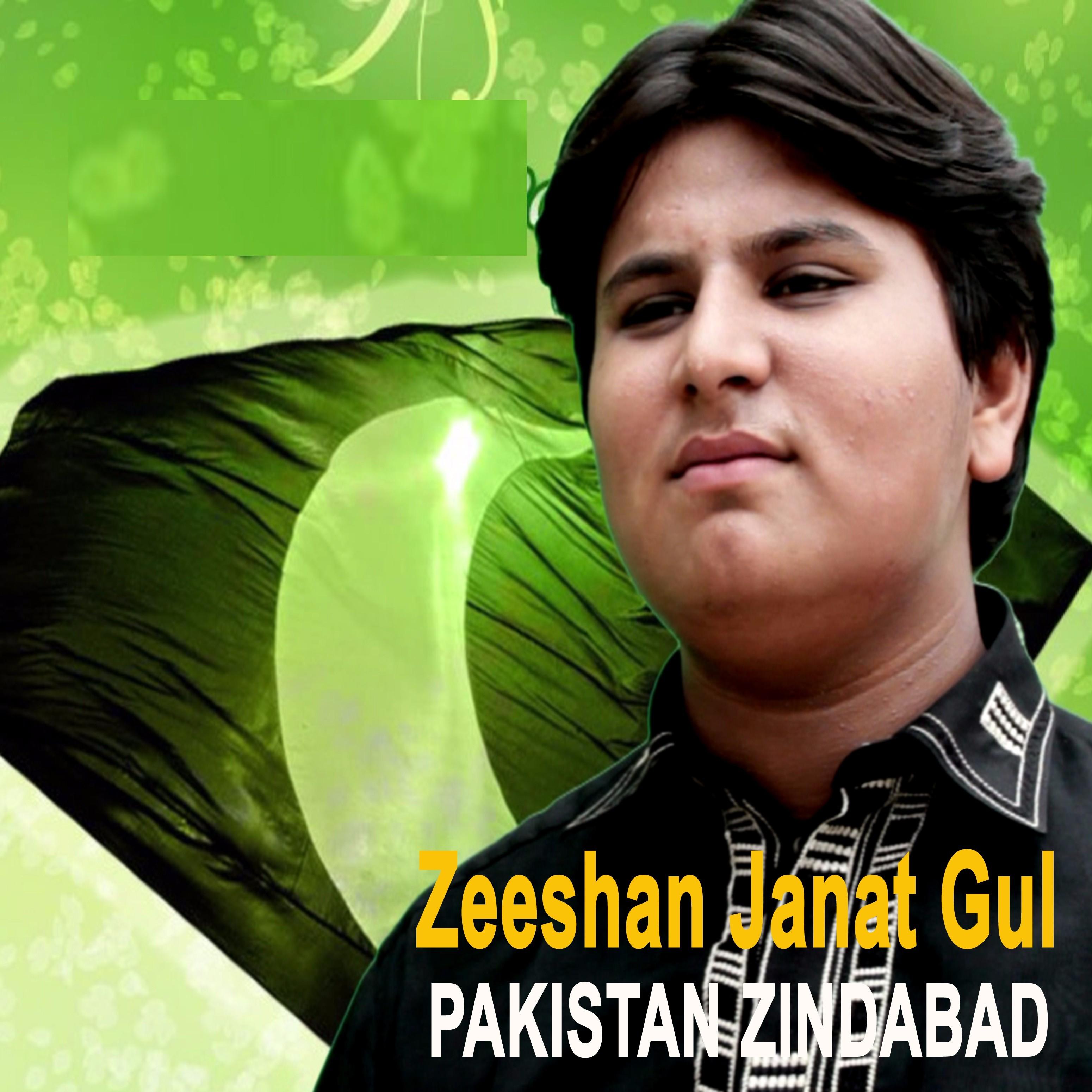 pakistan zindabad - zeeshan janat gul - 单曲 - 网易云音乐
