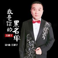 我是你的黑名单（DJ若男版）