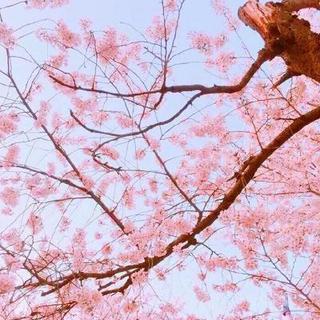 七夕节歌单【华语】