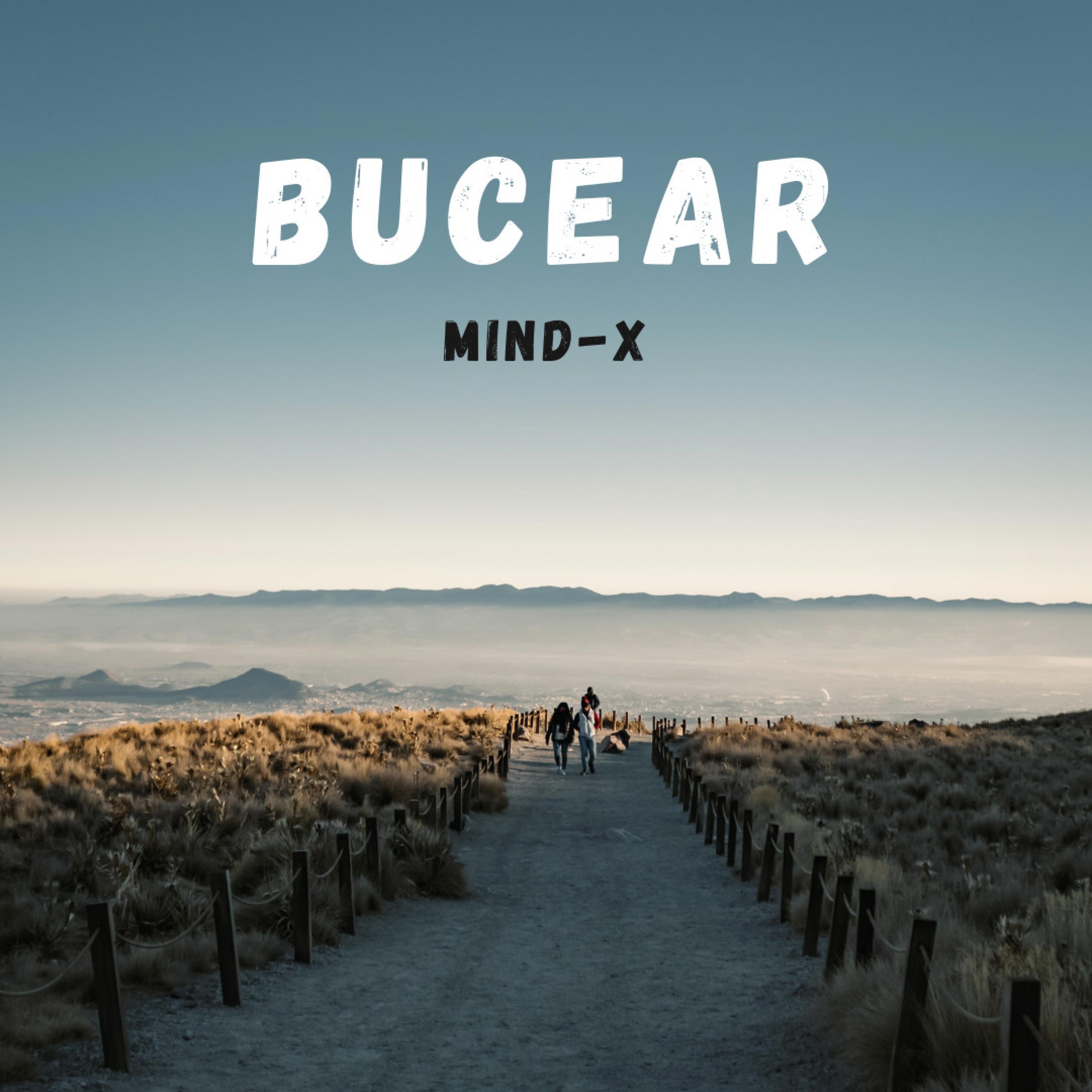 Mind-X - Bucear