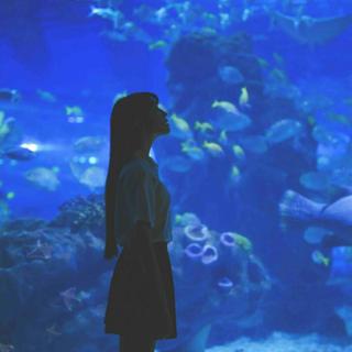 心海 - 覌深海区 | 放空状态 自由呼吸