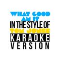 What Good Am I? (In the Style of Tom Jones) [Karaoke Version] - Single专辑