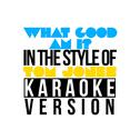 What Good Am I? (In the Style of Tom Jones) [Karaoke Version] - Single专辑