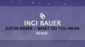 What Do You Mean (Ingi Bauer Remix)专辑
